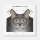 Pesquisar por stelle imas Stella