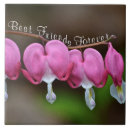 Pesquisar por da amizade azulejos Coração