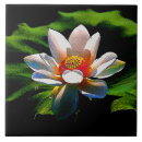 Pesquisar por flor lotus de azulejos Lírio