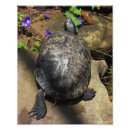 Pesquisar por ponto interrogação pôsteres pósteres Vida selvagem