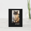 Pesquisar por gato preto e branco cartoes Para ela