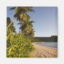 Pesquisar por mahe imas Viagem
