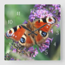 Pesquisar por do pavão relogios de parede Para todos