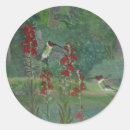 Pesquisar por colibris adesivos Natureza