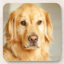 Pesquisar por dog copos bares Pet