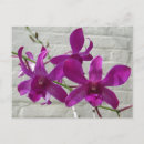 Pesquisar por violets cartoes postais Flor