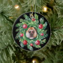 Pesquisar por nariz ornamentos Cachorro