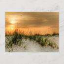 Pesquisar por gaivota cartoes postais Fotografia