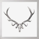 Pesquisar por vintage medical pôsteres pósteres Anatomy