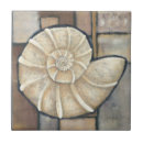 Pesquisar por caracol azulejos Concha