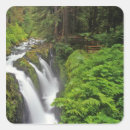 Pesquisar por as olimpiadas adesivos Floresta