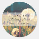 Pesquisar por dandelion adesivos Flor