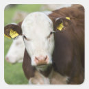 Pesquisar por identidade adesivos Vertical