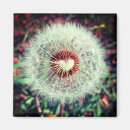 Pesquisar por dente imas Qualquer pessoa