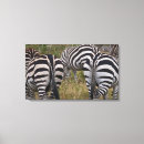 Pesquisar por da zebra impressão impressão de canvas Arte