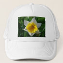 Pesquisar por daffodils bones Primavera