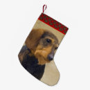 Pesquisar por dachshund meias de natal Cãozinho