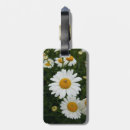 Pesquisar por aranha bagagem tags Flores