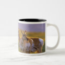 Pesquisar por antilope canecas Animal