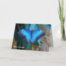 Pesquisar por morpho cartoes Butterfly