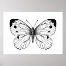 Pesquisar por borboleta vetor pôsteres pósteres Preto