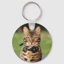 Pesquisar por gato de bengal chaveiros Animal de estimação