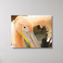 Pesquisar por símbolo impressão de canvas Pelicano engraçado