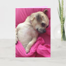 Pesquisar por cute puppy cartoes Pink
