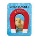 Pesquisar por pintinhos engraçados imas Humor