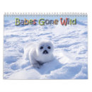 Pesquisar por calendário dos animais selvagens calendarios Fotografia