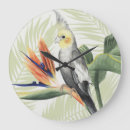 Pesquisar por colorful fotografia Bird