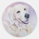 Pesquisar por golden retriever adesivos Canino