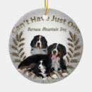 Pesquisar por stuffer da meia ornamentos Cão