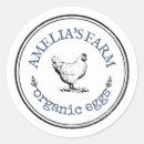 Pesquisar por galinha e ovos adesivos Para todos