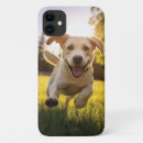 Pesquisar por happy capas Cão feliz