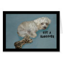 Pesquisar por lhasa apso cartoes postais Animal