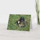 Pesquisar por chimpanzé bonito cartoes postais Engraçado