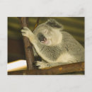 Pesquisar por oceania cartoes postais Rainha