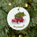 Pesquisar por car ornamentos Feriado