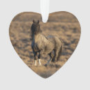 Pesquisar por wild ornamentos Cavalos
