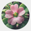 Pesquisar por trevo adesivos Qualquer pessoa