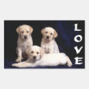 Pesquisar por labrador retriever adesivos Cachorros