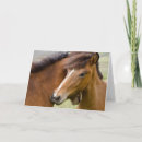 Pesquisar por islandês cartoes Fazenda