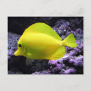 Pesquisar por tang cartoes Qualquer pessoa