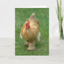 Pesquisar por farm animals cartoes Hens