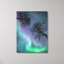 Pesquisar por polar impressão de canvas Ártico