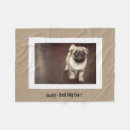 Pesquisar por fofinha mantas Cãozinho