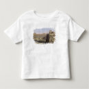 Pesquisar por castello camisetas Italia
