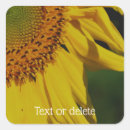 Pesquisar por placa adesivos Para ela