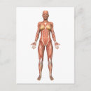 Pesquisar por cartilagem cartoes postais Trabalho de arte